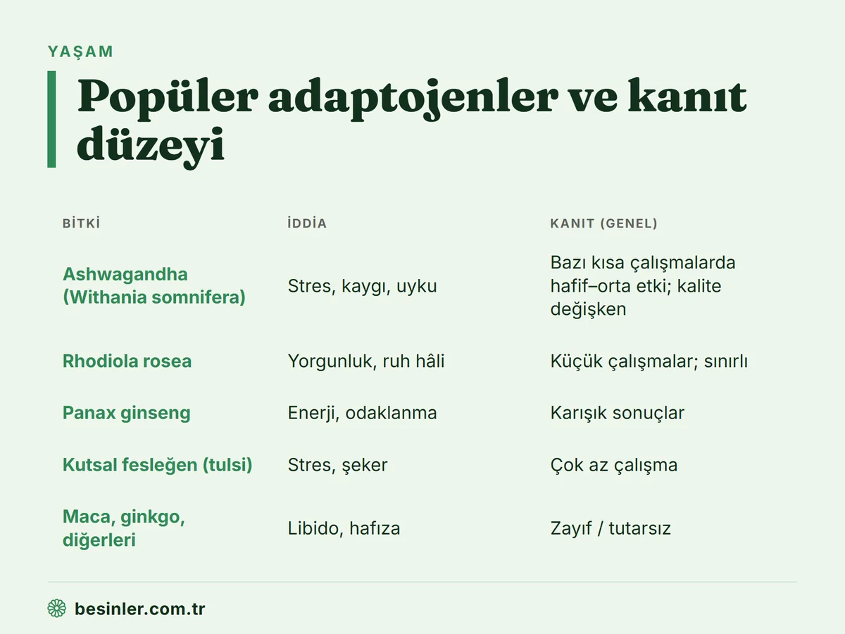 Ashwagandha, rhodiola, ginseng, kutsal fesleğen ve diğer adaptojenlerin iddiaları ve kanıt düzeyleri