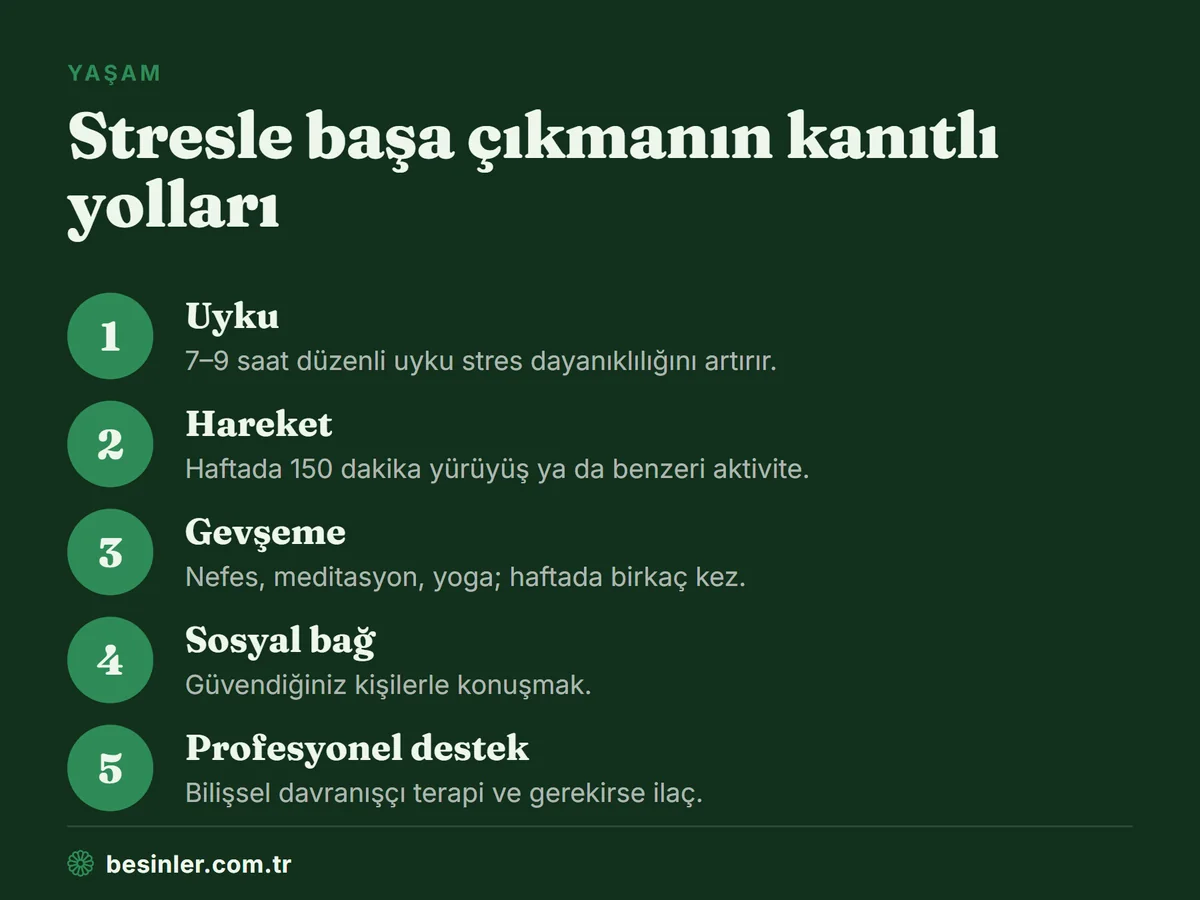 Uyku, hareket, gevşeme, sosyal bağ ve profesyonel destek gibi stresle başa çıkmanın kanıtlı yolları