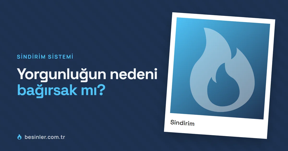 Bağırsak İltihabı ve Yorgunluk: Aralarındaki İlişki ve Beslenme Önerileri