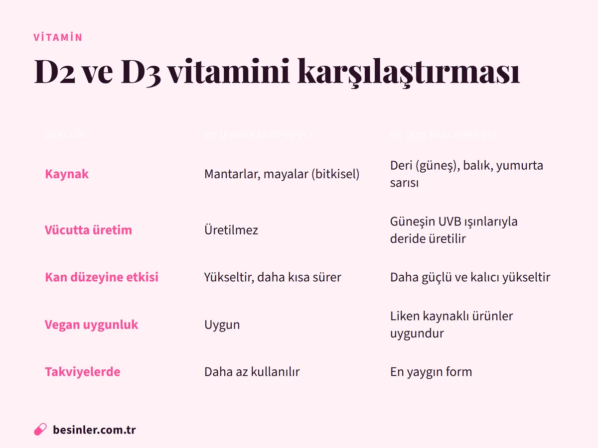 D2 ve D3 vitamininin kaynak, üretim, etki ve kullanım açısından karşılaştırması