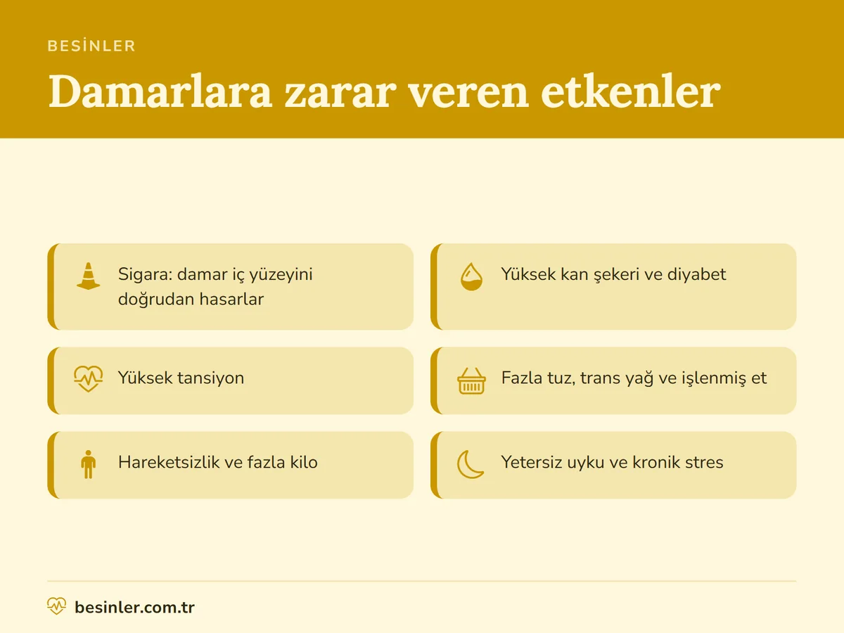 Sigara, yüksek şeker, tansiyon, tuz, hareketsizlik ve uykusuzluk gibi damarlara zarar veren etkenler