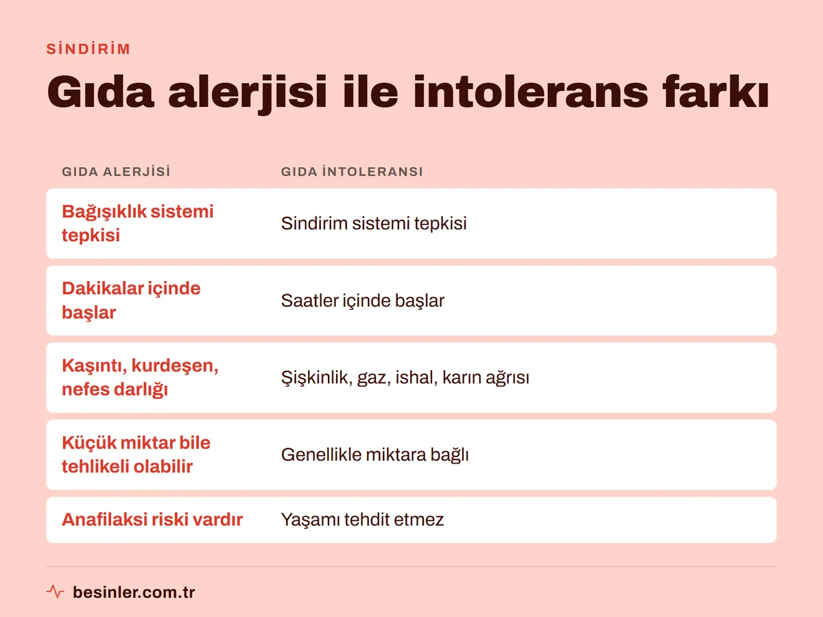 Gıda alerjisi ile gıda intoleransının bağışıklık tepkisi, başlangıç zamanı, belirtiler ve risk açısından karşılaştırması