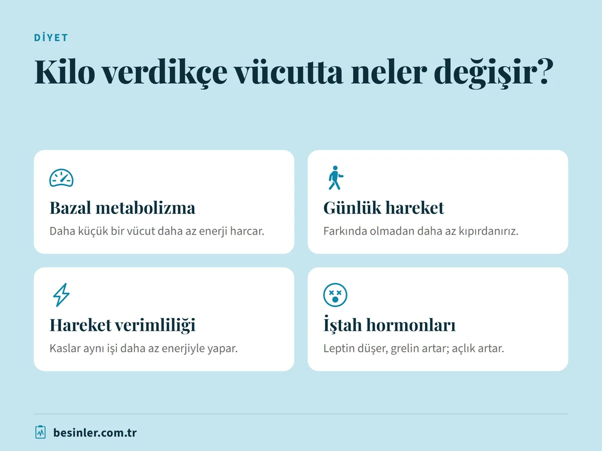 Kilo verdikçe bazal metabolizma, günlük hareket, kas verimliliği ve iştah hormonlarında görülen değişiklikler