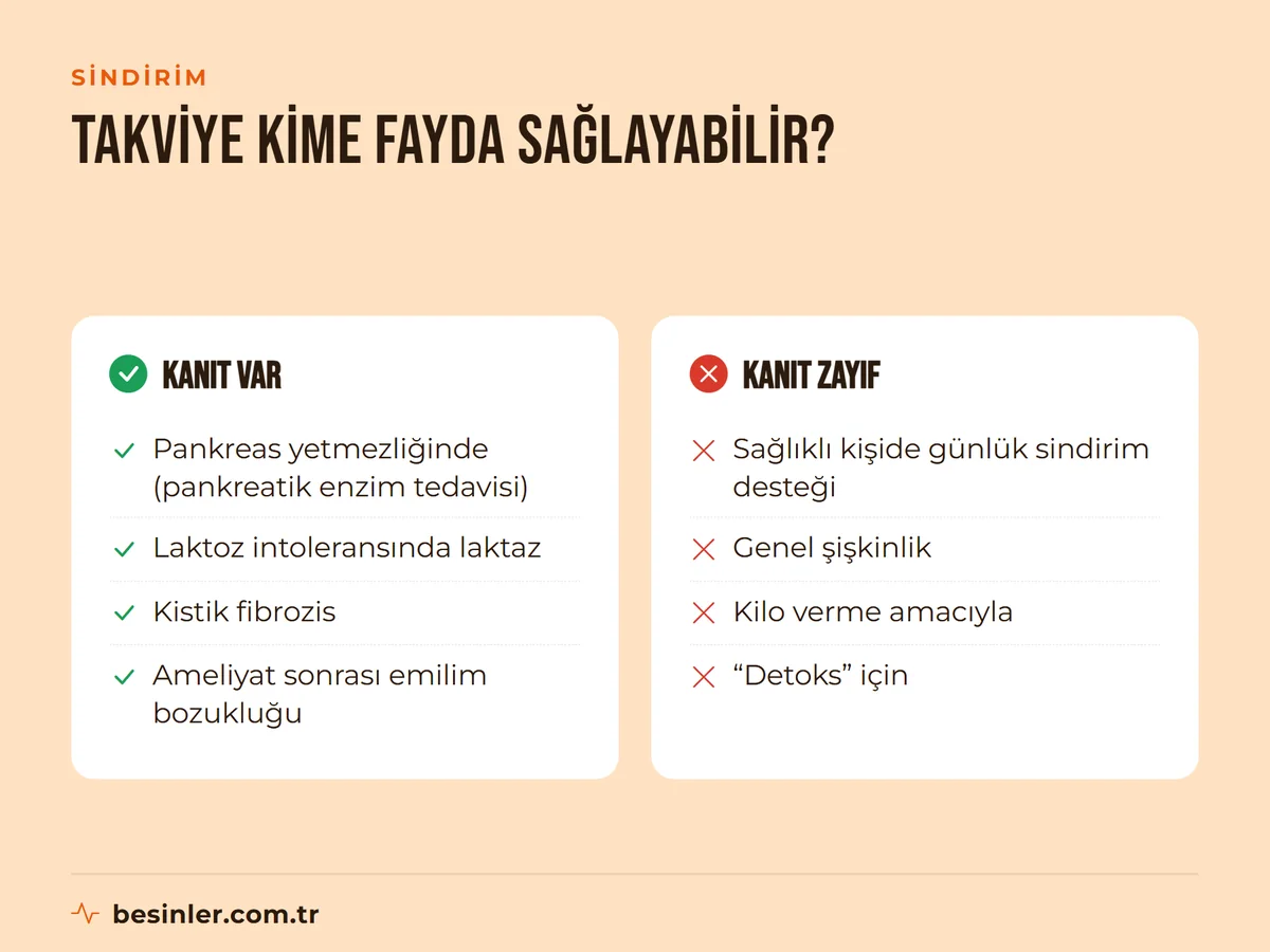 Pankreas yetmezliği ve laktoz intoleransında kanıtlı enzim kullanımı; sağlıklı kişilerde ve kilo vermede kanıtsız kullanımlar