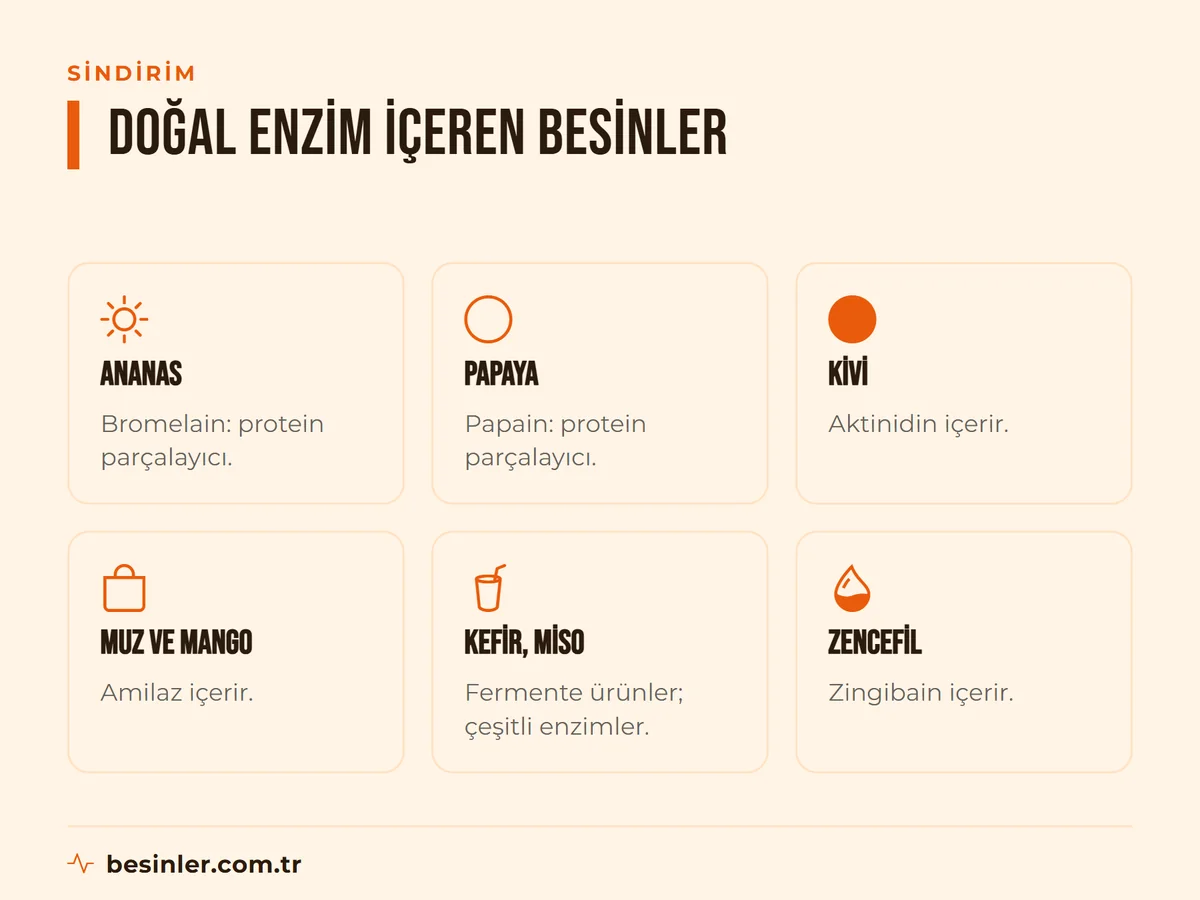 Ananas, papaya, kivi, muz, kefir ve zencefil gibi doğal sindirim enzimi içeren besinler