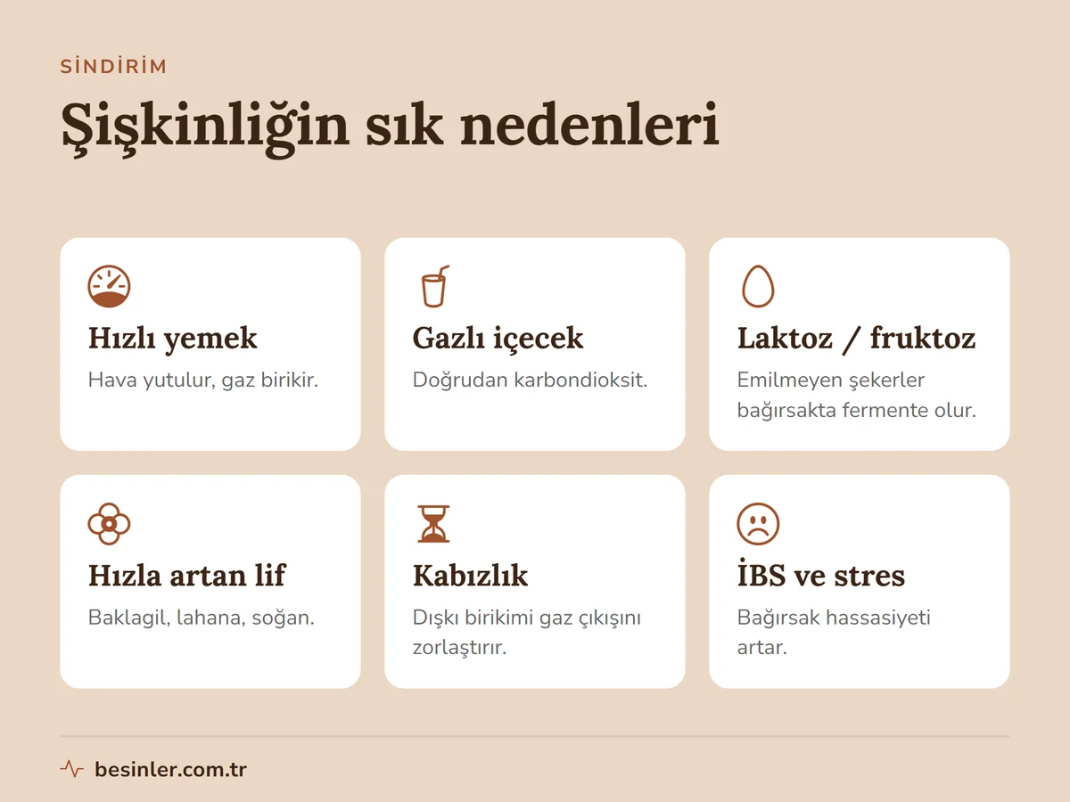 Hızlı yemek, gazlı içecek, laktoz ve fruktoz, hızlı lif artışı, kabızlık ve irritabl bağırsak sendromu